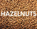 PINE NUTS