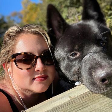 Puppies akita husky dog puppy wolf wolves companion pet small business art raw diet designer pet