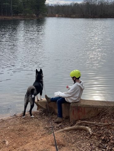 Puppies akita husky dog puppy wolf wolves companion pet small business art raw diet designer pet