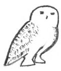 Snowy Owl Publications