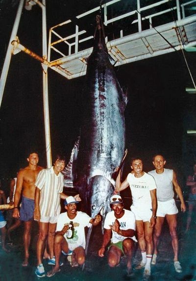 Big blue Marlin caught in Tahiti 739kg