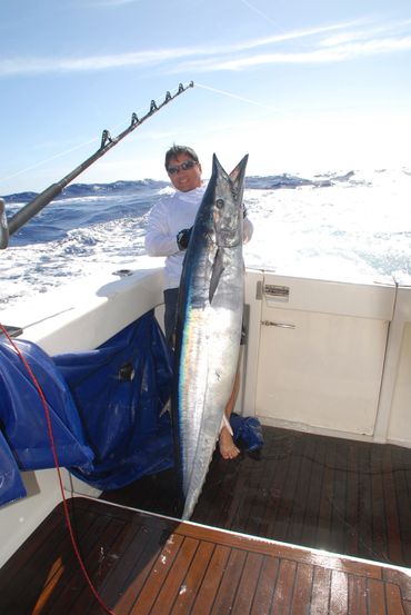 Daniel Siu
Wahoo Fishing
giant wahoo
