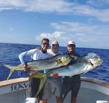 A couple of Mahi Mahi onboard Tahiti sport fishing charter boat SeaWolf.