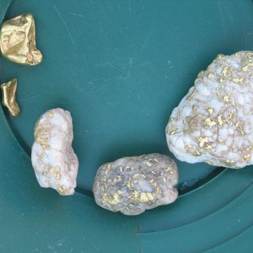 Sierra County Trophies Gold in a Pan