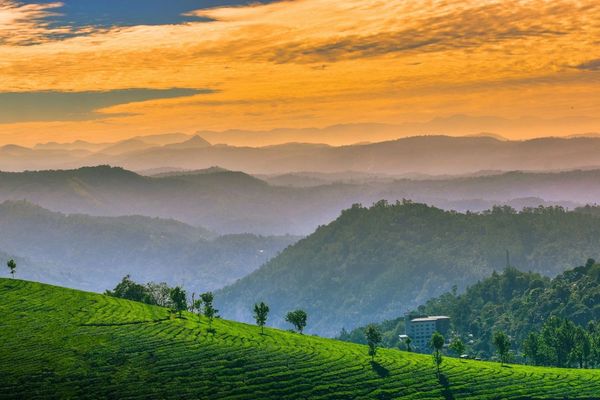 munnar tourism
