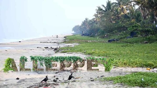 alleppey taxi service