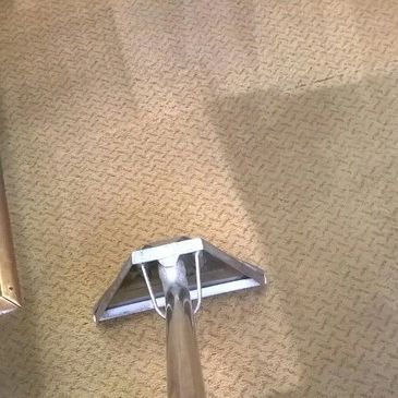 carpet cleaning Nottingham carpet cleaning Derbyshire www.spcarpetandupholsterycare.com