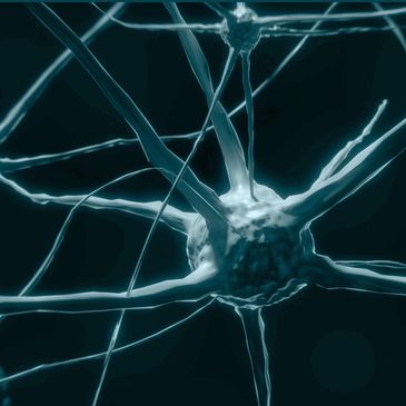 Fuctional Neurology