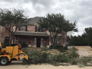 Affordable Tree Trimming  in Flower Mound, TX