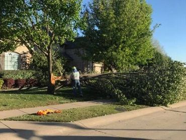 Tree Strom Damage lewisville, TX