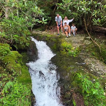 Family posing by a waterfall in a forest.