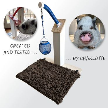 Snout-n-Snack pig enrichment toy the delivers snacks