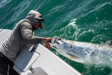 Tarpon fishing Sanibel