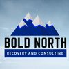 Bold North Recovery & Consulting, Golden Valley, MN