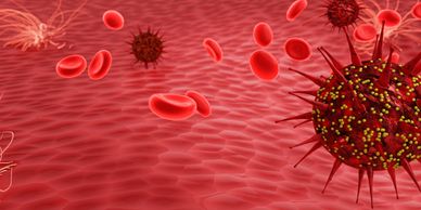 3D illustration of a virus among red blood cells in the bloodstream.