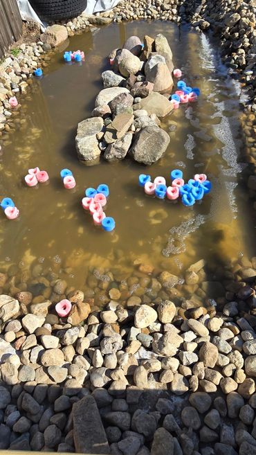 The fishing hole at outskirts mini farm adventures.