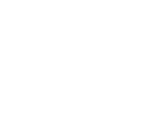 The PUYALLUP NIGHT MARKET