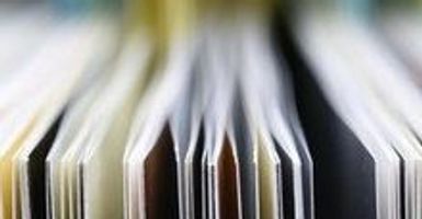 Image Credit: TheScientist