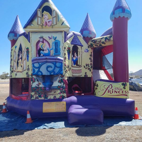 princess jumping castle