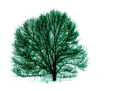 Oil Painting in Photoshop