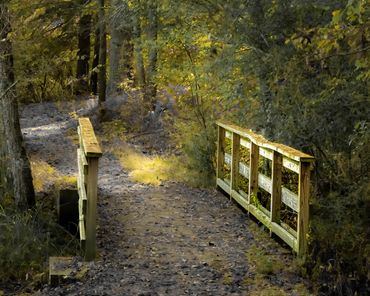 A wooden footbridge in a serene forest with autumn leaves scattered on the path.