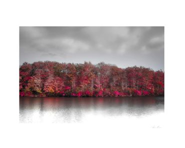 A different landscape scene for Home Decor