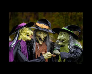 Three witches with green faces and black hats appear to be sharing a potion or brew.