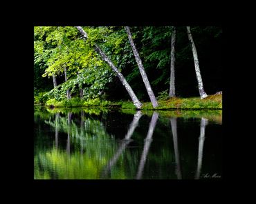Dark reflections on the water for a differnt landscape home decor look