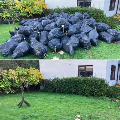 Black Bags Before and after removal