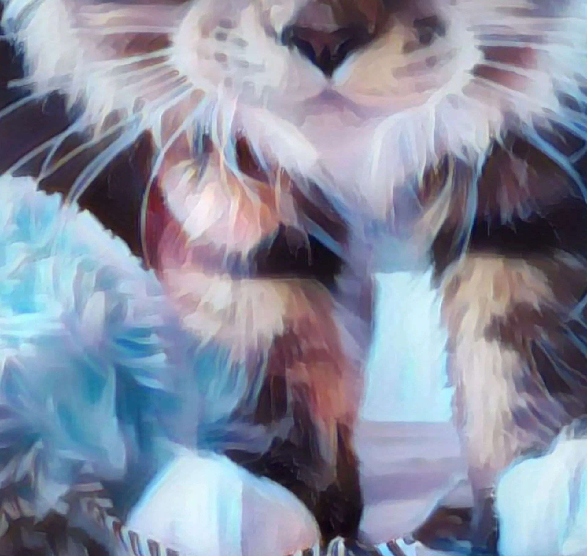 Maine Coon kitten for sale — playful gentle giant from Warrior Kattz Maine Coons in Texas.