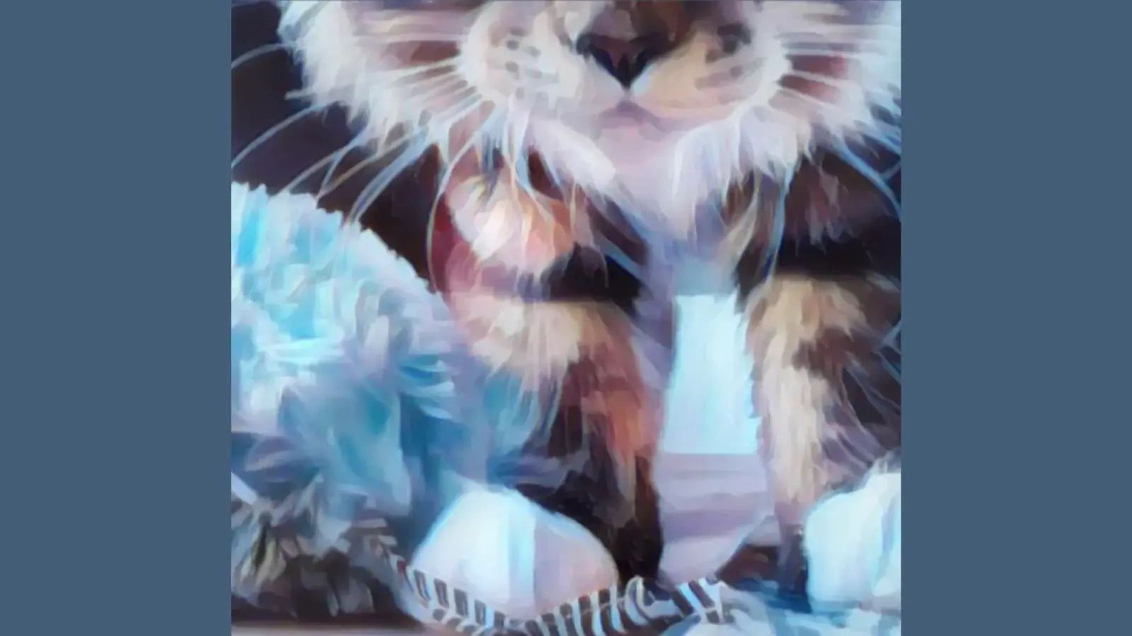 Close-up portrait of a Maine Coon kitten from Warrior Kattz Maine Coons, a Texas Maine Coon breeder