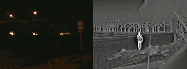 thermal imaging of person standing in field