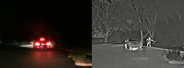 thermal and normal image in the woods 2