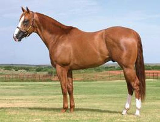 One Mean Eagle
Sorrel Quarter Horse Stallion
Pederson Red Angus