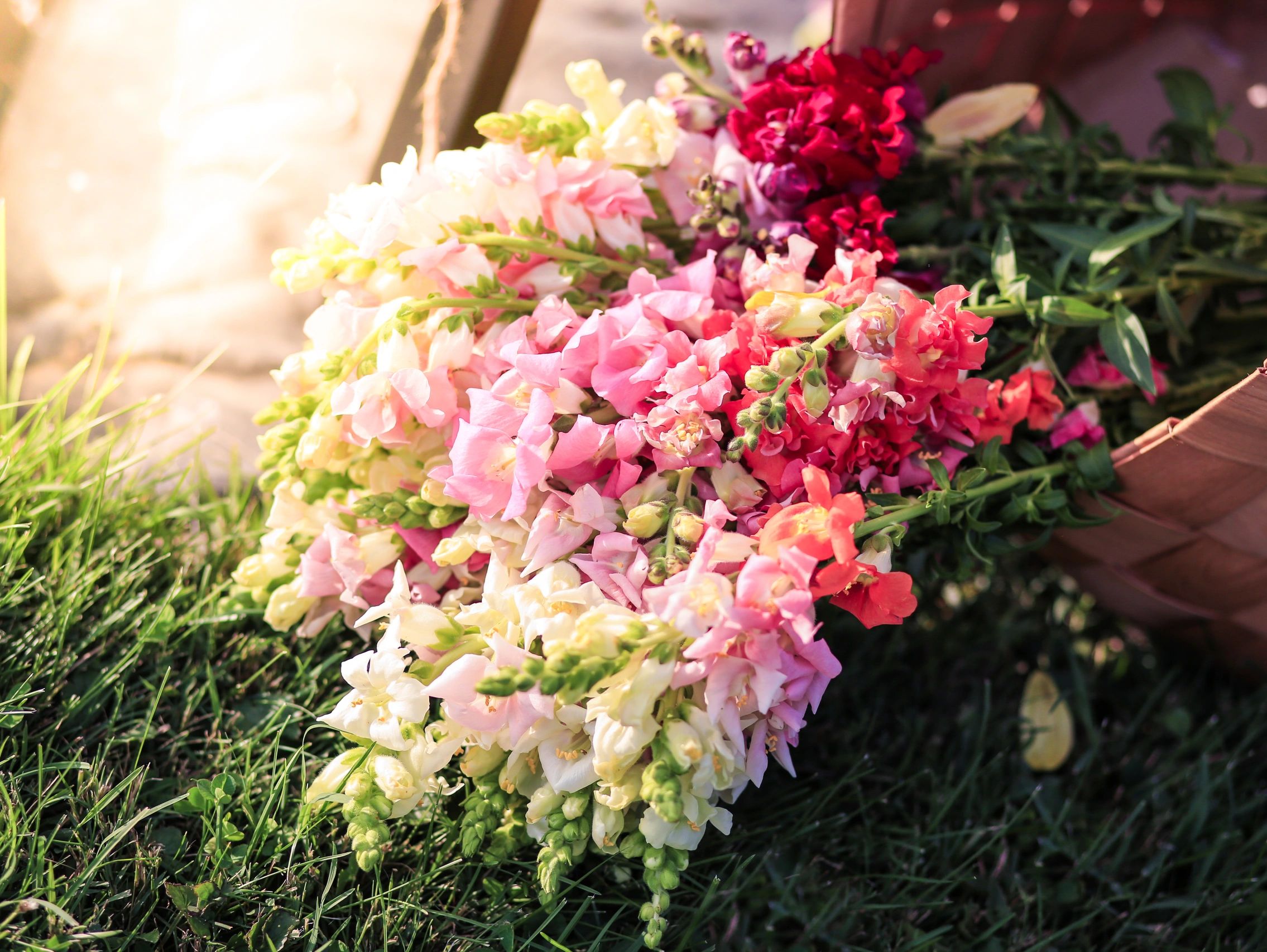 Photographer: Kristin Jarrells