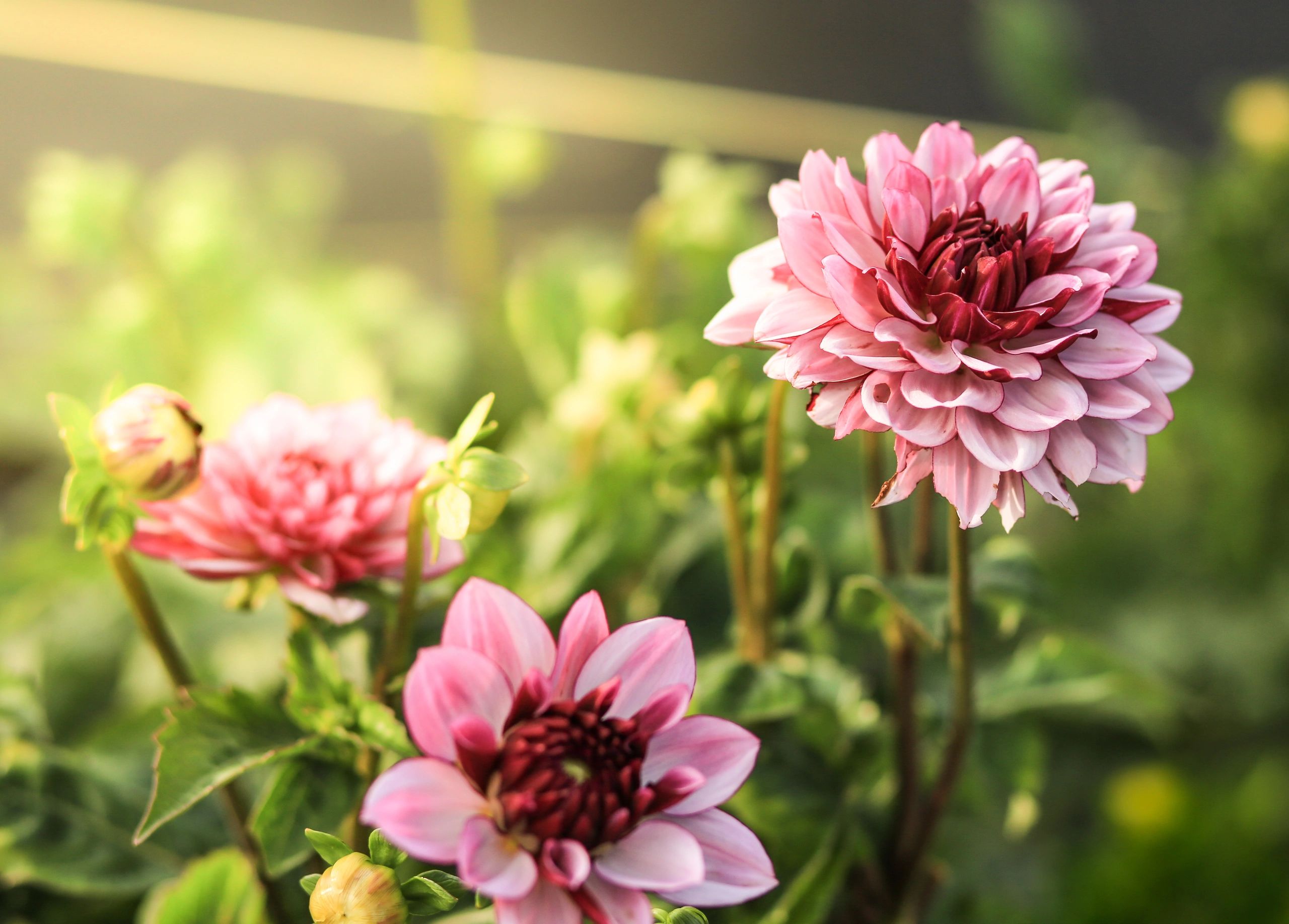 Photographer: Kristin Jarrells