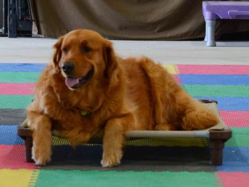 Buster in a Place command