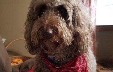 Louie posing for a pic