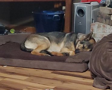 Kyber after a long work day