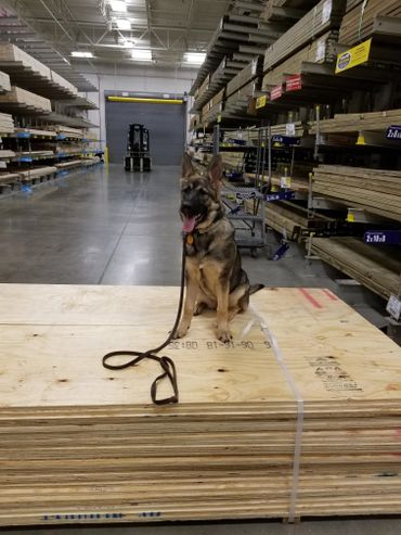 Heidi on a Place at Lowes