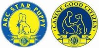 Akc Star Puppy and CGC