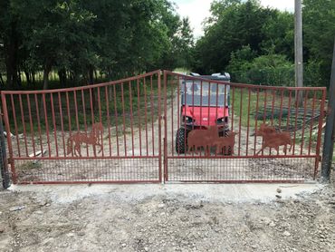 A picture of a custom designed and fabricated metal gate for a driveway.