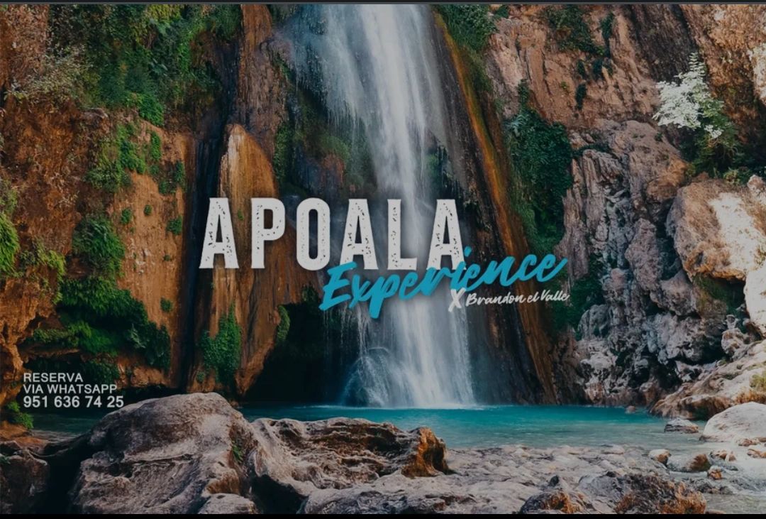 logo de apoala experience empresa de santiago apoala oaxcaca mexico cabañas tours y guias