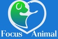 Focus Animal