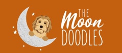 The Moon Doodles