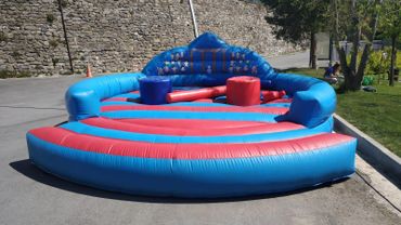 Şirket Piknik ve Etkinliklerinde Şişme Gladyatör Kiralama Hizmetleri, Şişme Oyun Alanları Kiralama.