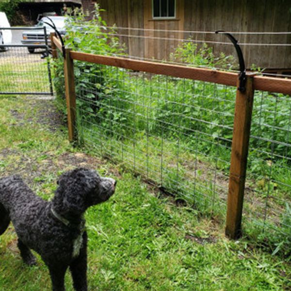 Extended fence makes dogs unable to escape. Pet containment