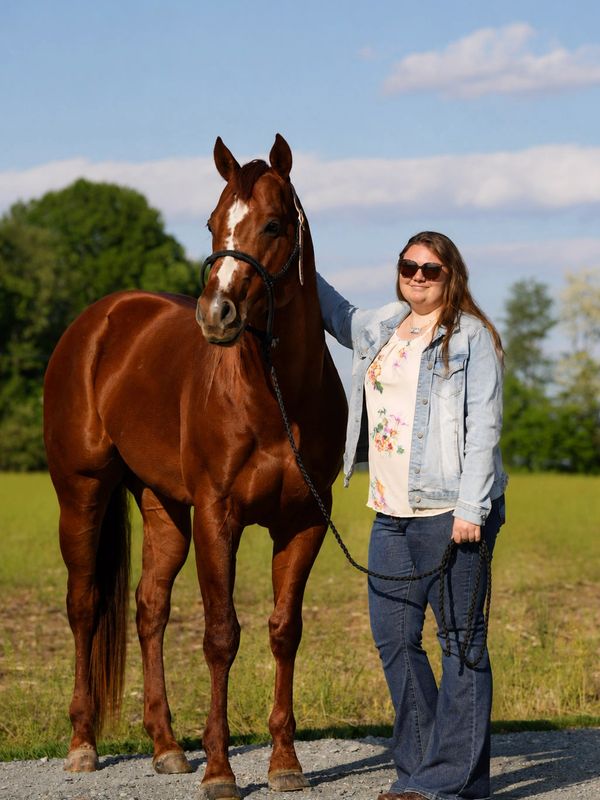 A woman stands with a brown horse in a sunny outdoor setting.