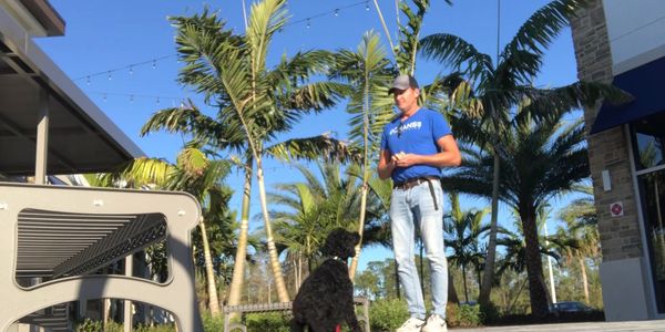 Dog trainer excelling in Bonita Springs, FL – a dynamic duo perfecting skills togethe