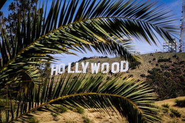 The Hollywood sign seen through the fronds of a palm tree